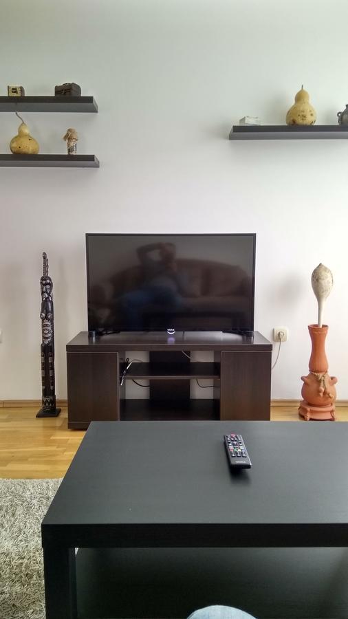 Jelena Apartments Novi Sad Esterno foto